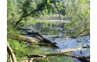 Property photo 1 - 20 Acres Offered in 3 Tracts - Hunting, Wildlife, & Recreation!
